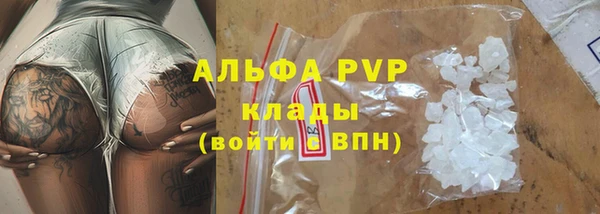 спайс Аша