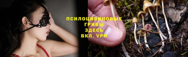 стафф Нязепетровск