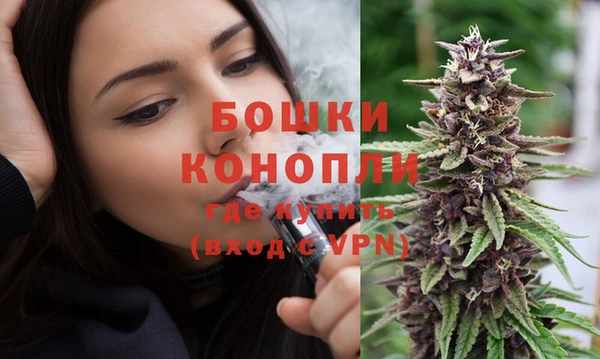 дурь Белая Холуница