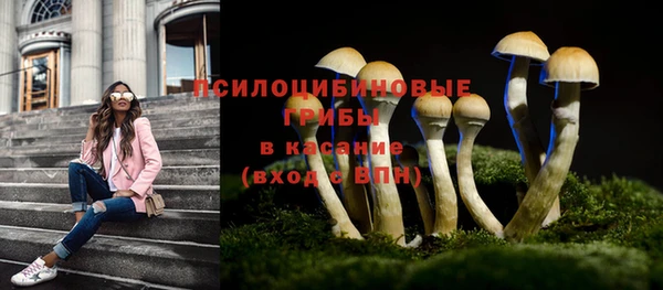 стафф Нязепетровск